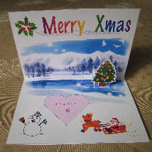 ��яo���J�[�h�̊g��ʐ^