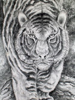 虎の水墨画写真
